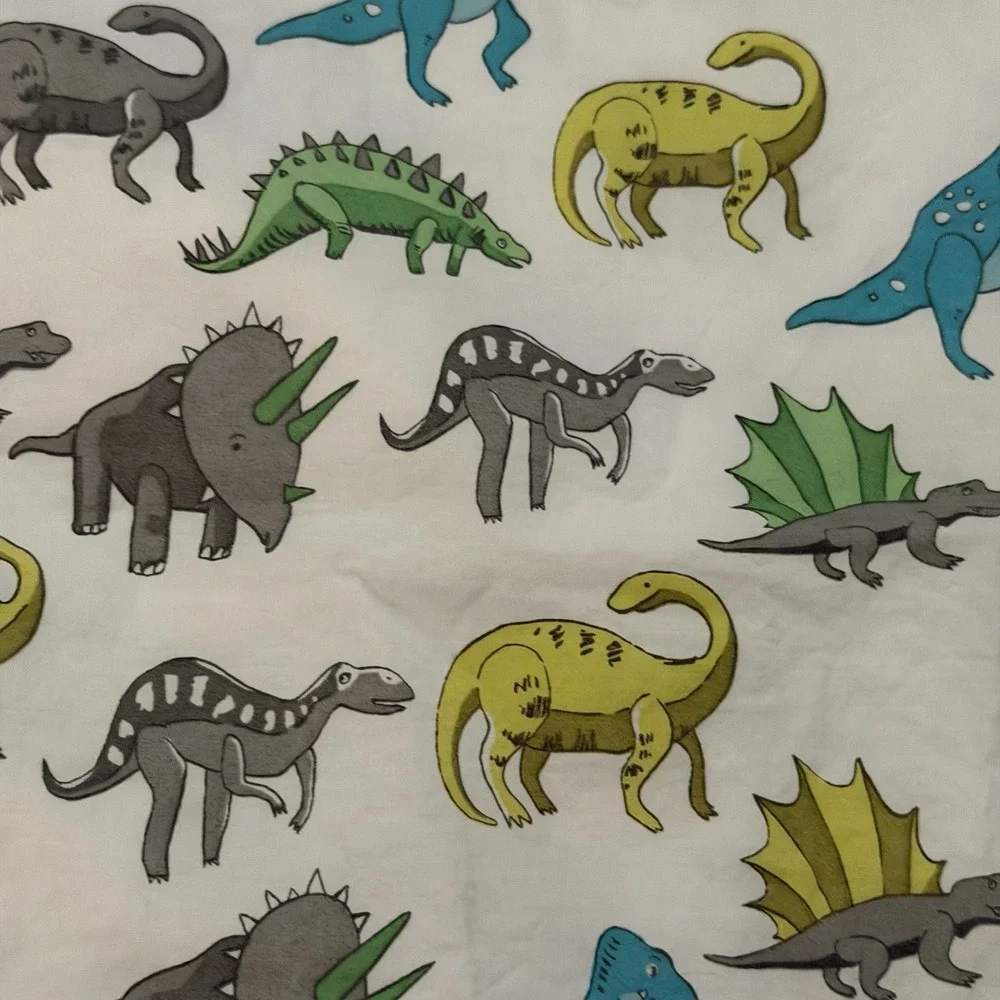 Pottery Barn Kids Dinosaur Twin Sheet Set 3 PCS Green Blue Gray 2015 Dinosaurs